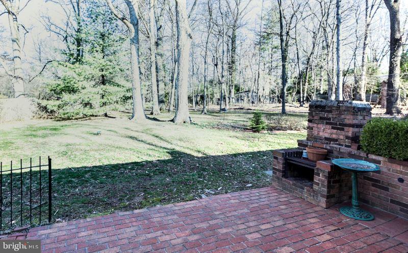 720 East Randolph Road Silver Spring, MD 20904 - Photo 28 of 31 Beautiful Back Yard