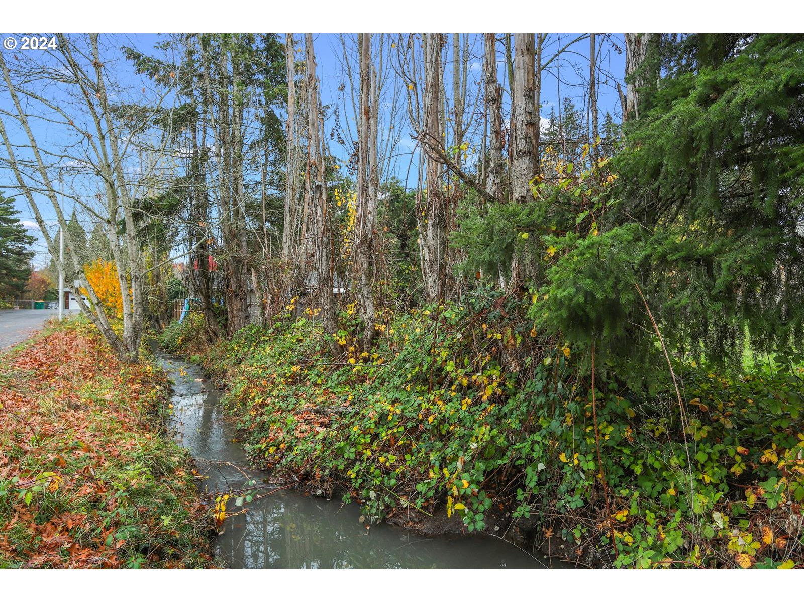Butternut Drive Beaverton, OR 97007 - Photo 3 of 6