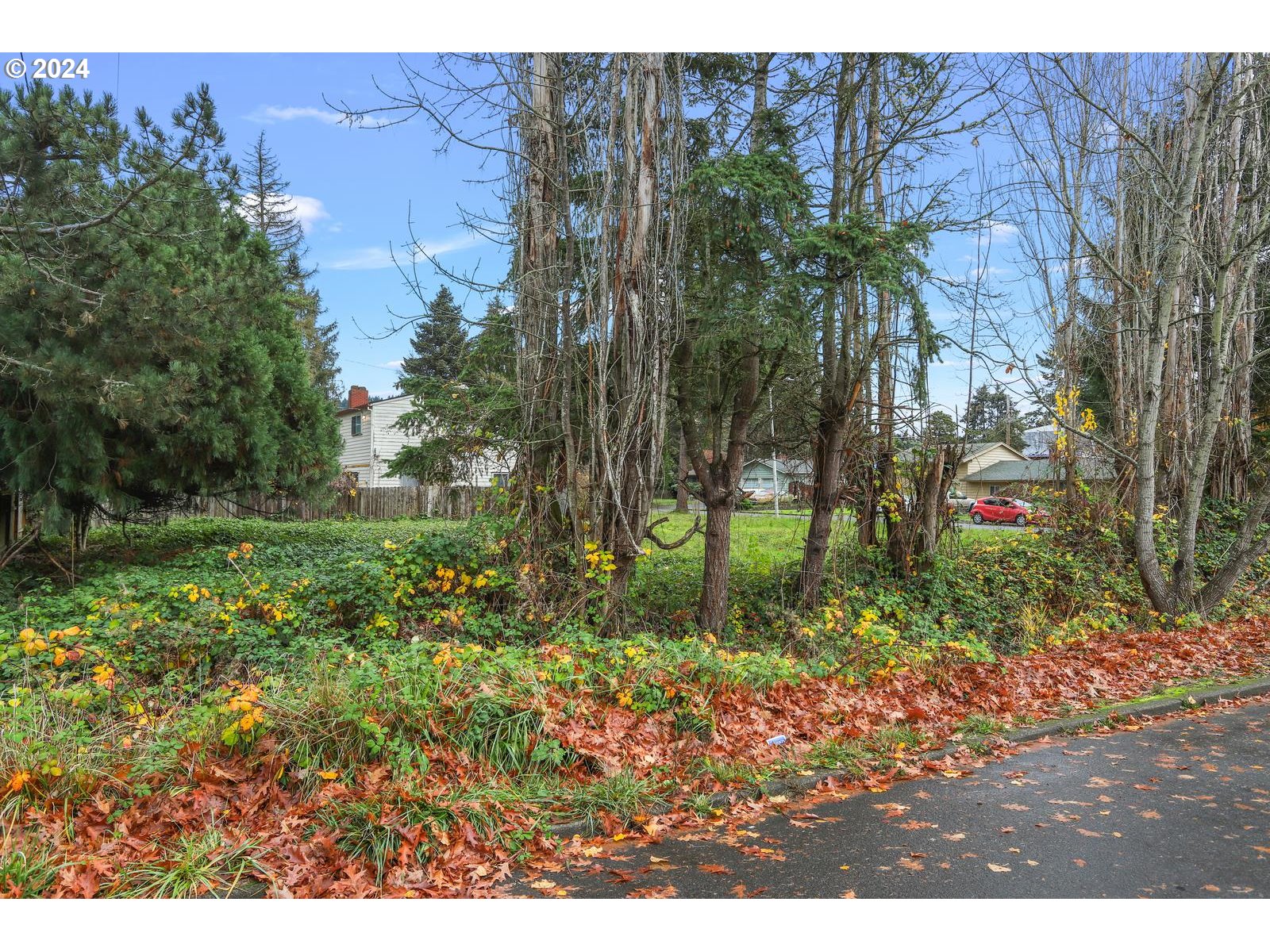 Butternut Drive Beaverton, OR 97007 - Photo 4 of 6