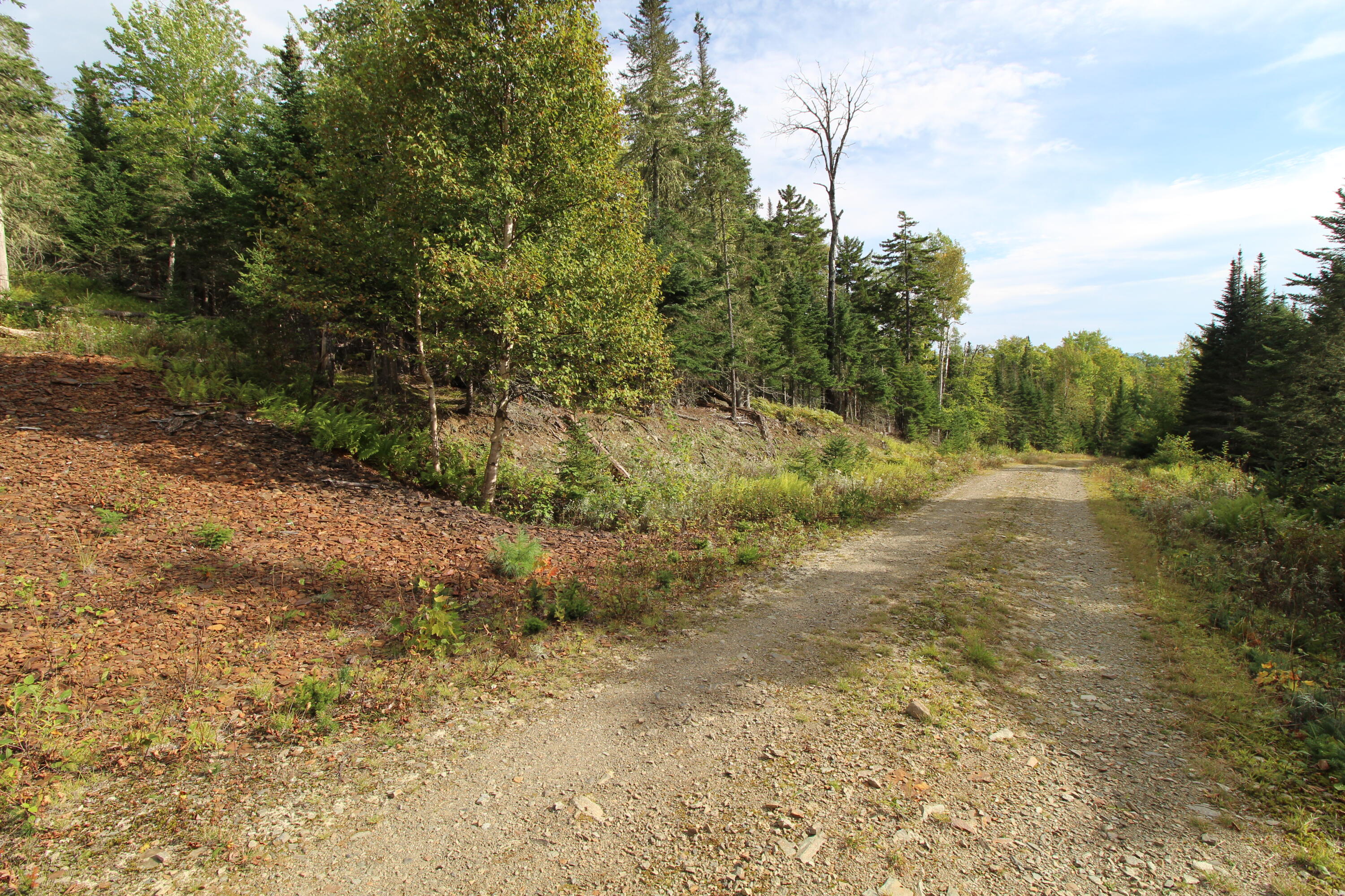 Lot 8 Wheeler Road Rangeley, ME 04970 - Photo 2 of 11 IMG_5296