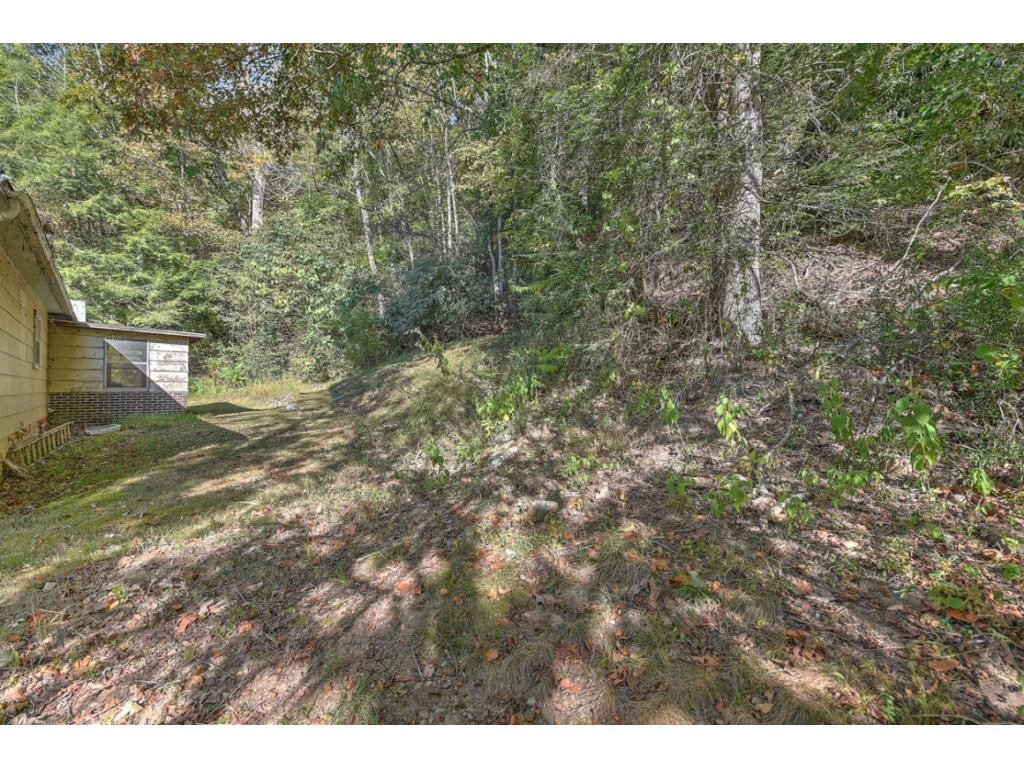 239 Chinquapin Road Erwin, TN 37650 - Photo 34 of 34 Photo 34