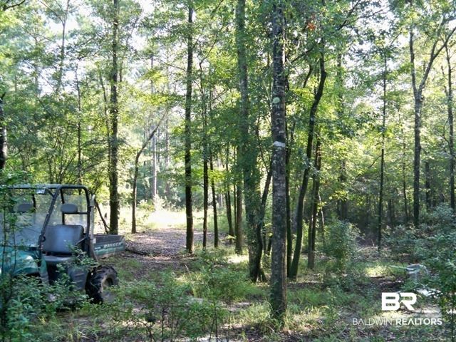 0 Lott Road Citronelle, AL 36522 - Photo 9 of 10