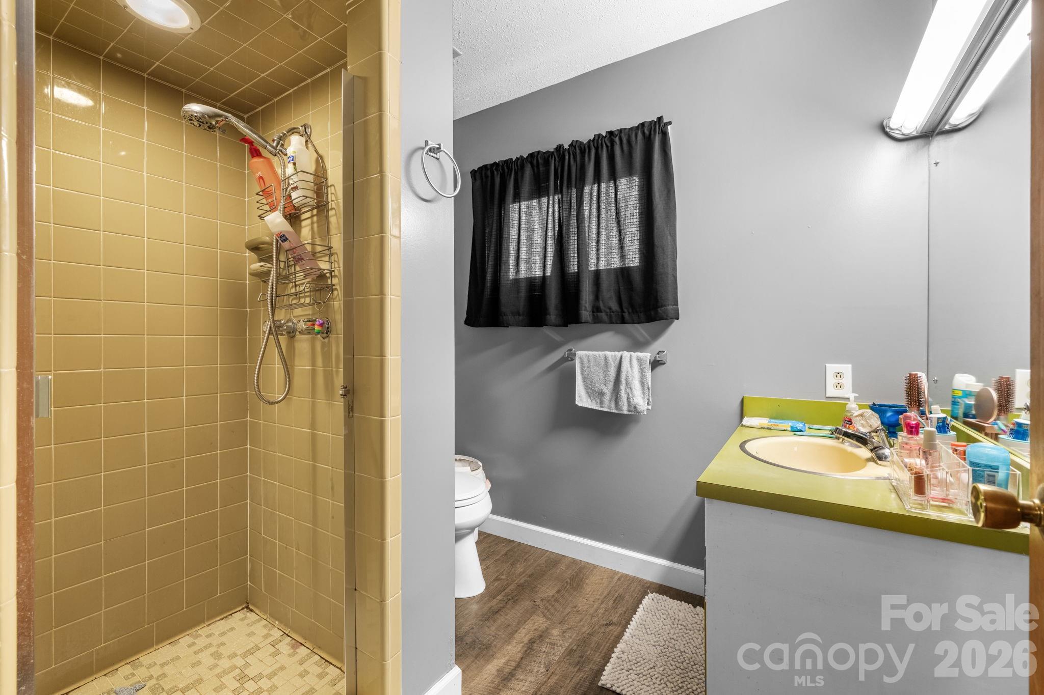 103 Hamp Street Morganton, NC 28655 - Photo 20 of 42 a bathroom with a sink mirror and vanity