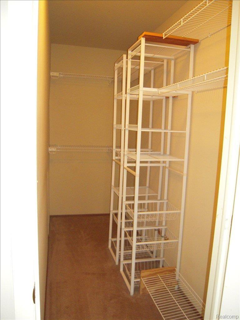 125 Foxboro Drive Rochester, MI 48309 - Photo 10 of 25 MBR Closet