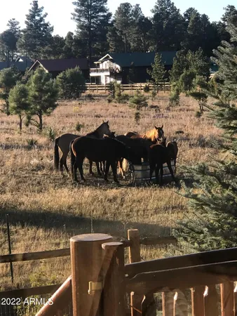 $469,000 | 2654 Palomino Trail, Overgaard, AZ 85933