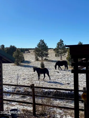 $469,000 | 2654 Palomino Trail, Overgaard, AZ 85933