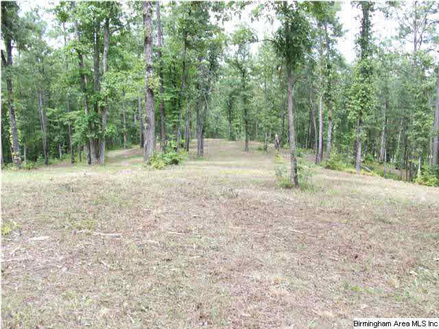 Meadow Lake, Unit 2A Calera, AL 35040 - Photo 7 of 9