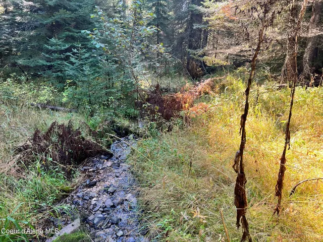 $140,000 | 500 Jane's Ln Street, St. Maries, ID 83861