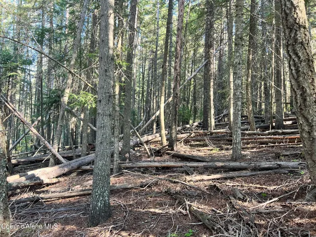 $140,000 | 500 Jane's Ln Street, St. Maries, ID 83861