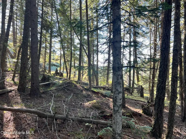 $140,000 | 500 Jane's Ln Street, St. Maries, ID 83861