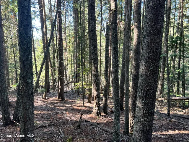 $140,000 | 500 Jane's Ln Street, St. Maries, ID 83861