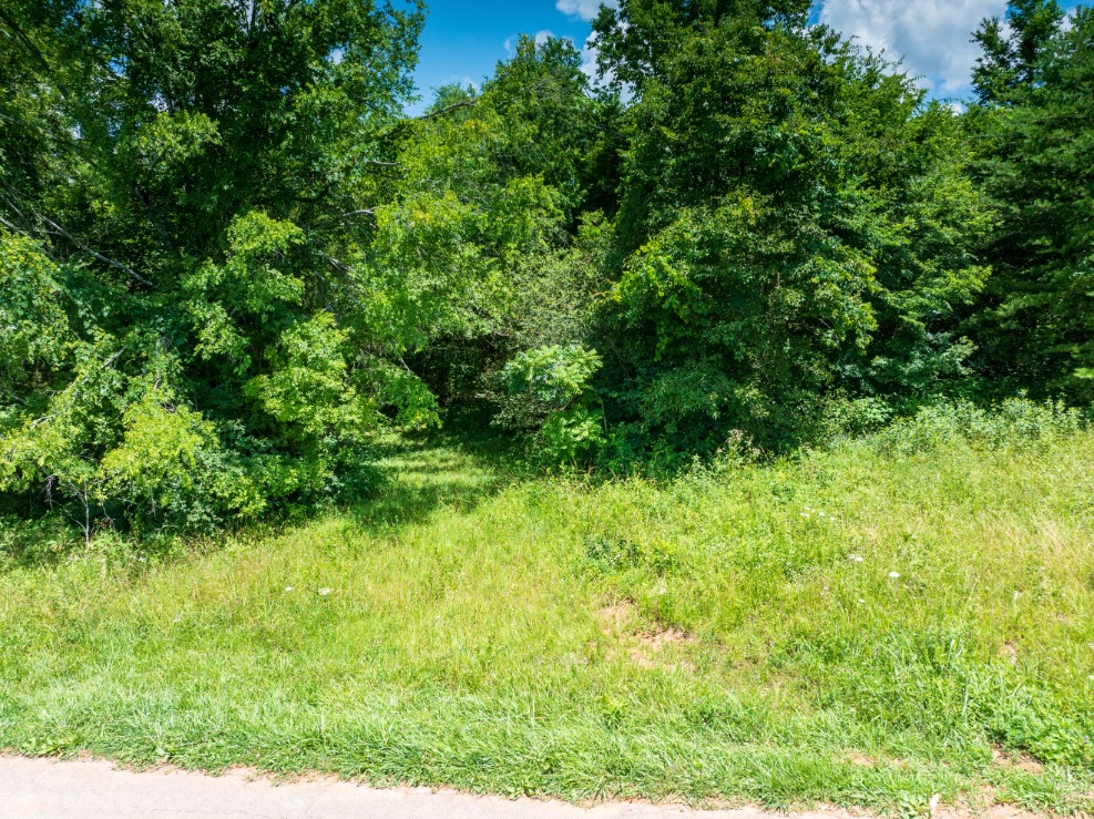 0 McGhee Road Greenback, TN 37742 - Photo 26 of 40