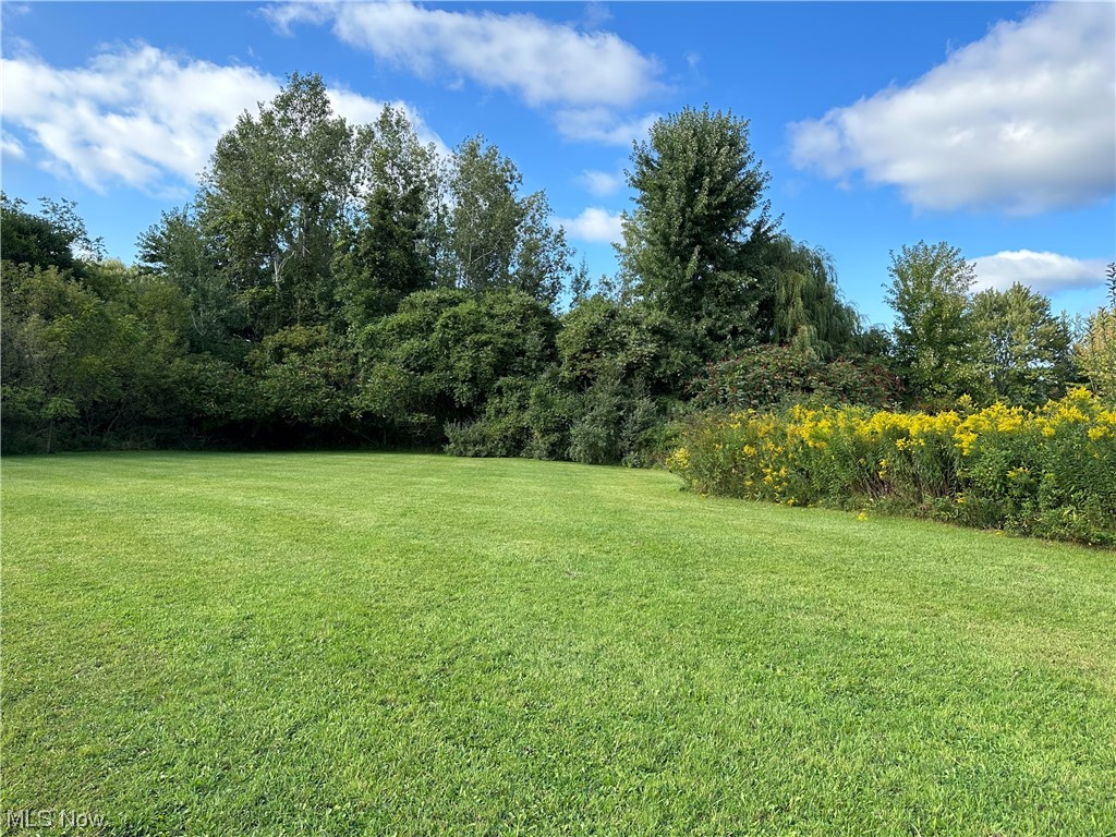 5829 North Ridge Road Madison, OH 44057 - Photo 29 of 32 Scenic Backyard