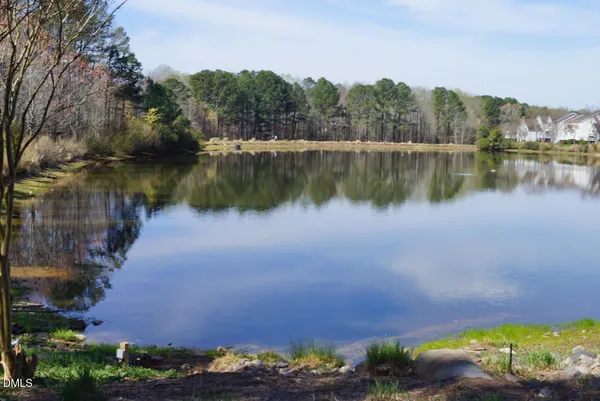 a view of a lake with a city view