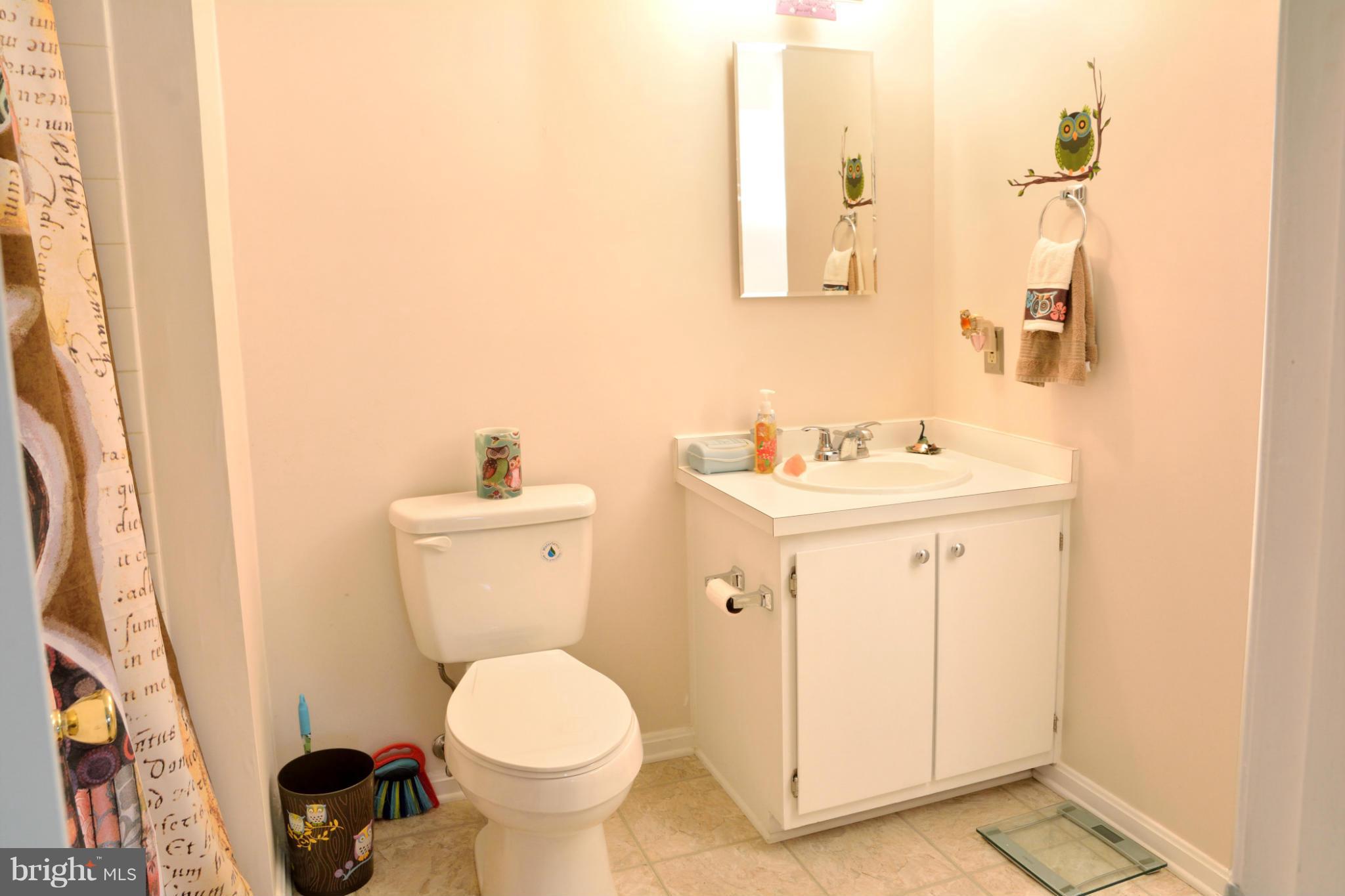 12 London Bridge Court Silver Spring, MD 20906 - Photo 22 of 25 Bath (Master)