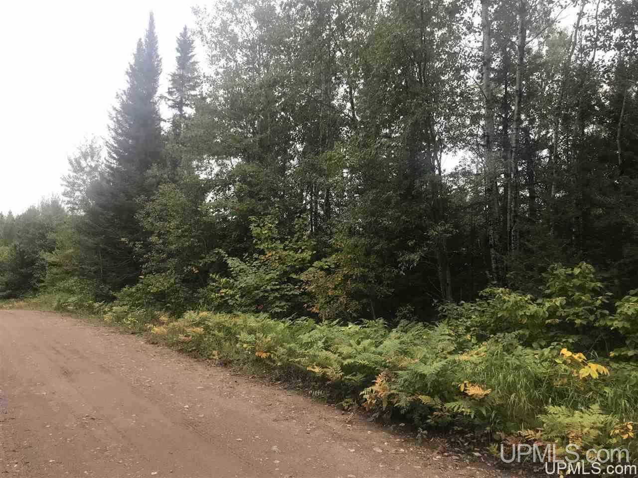 Tbd Co Rd Freeway, Unit PARCEL 1 Champion, MI 49814 - Photo 1 of 2