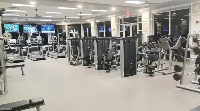 a view of a park with palm trees