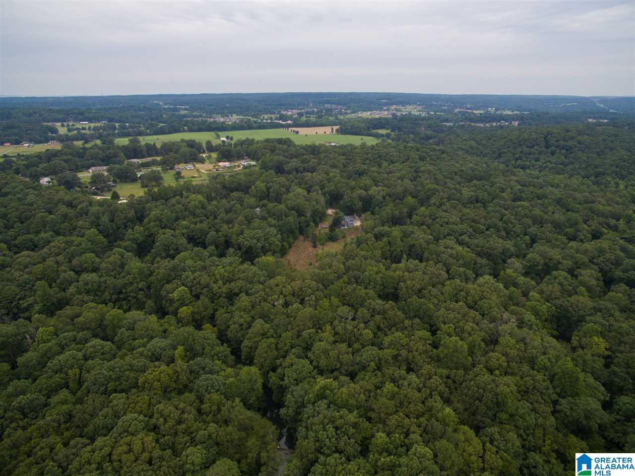 23227 East Ridge Drive McCalla, AL 35111 - Photo 42 of 49