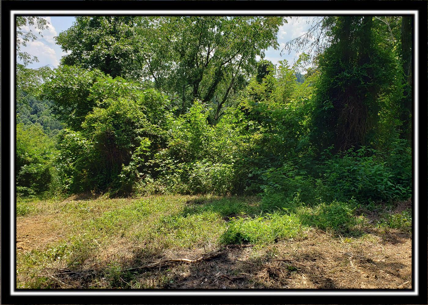 0 Bethel Road, Unit TRACT 4 Patriot, OH 45658 - Photo 29 of 35 CT-29