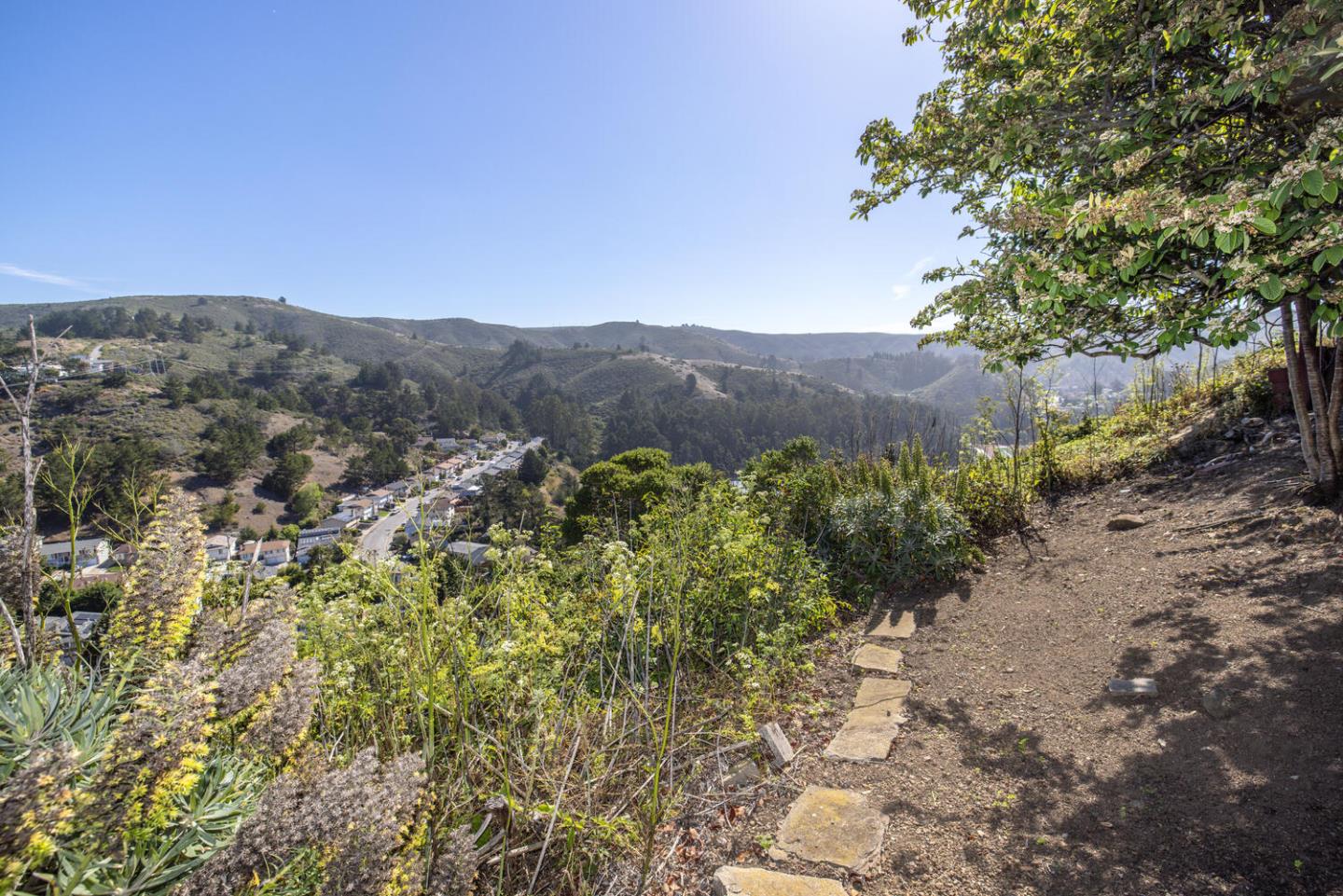 1420 Crespi Drive Pacifica, CA 94044 - Photo 40 of 48 a view of a large yard with lots of bushes