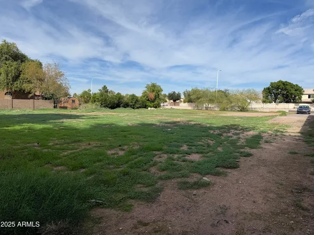 a view of a field with an trees