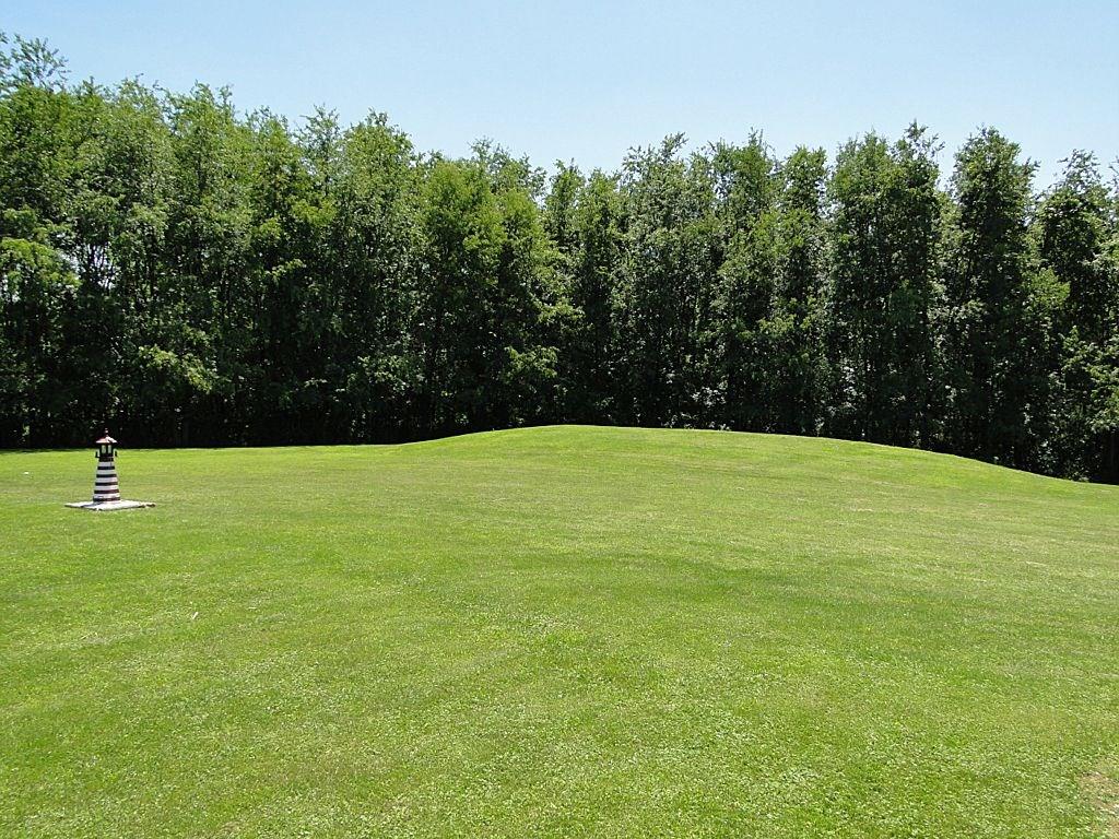 705 Lagonda Road Washington, PA 15301 - Photo 21 of 25 Magnificent Front Yard