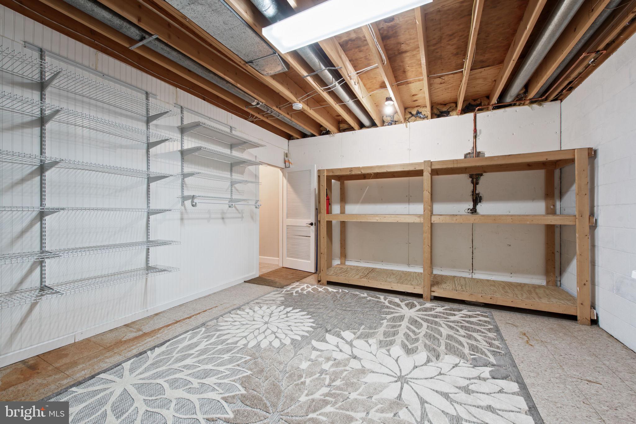 2821 Rifle Ridge Road Oakton, VA 22124 - Photo 47 of 56 LL Huge storage agrea