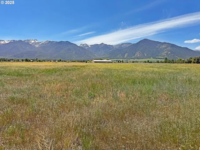 a view of an ocean beach