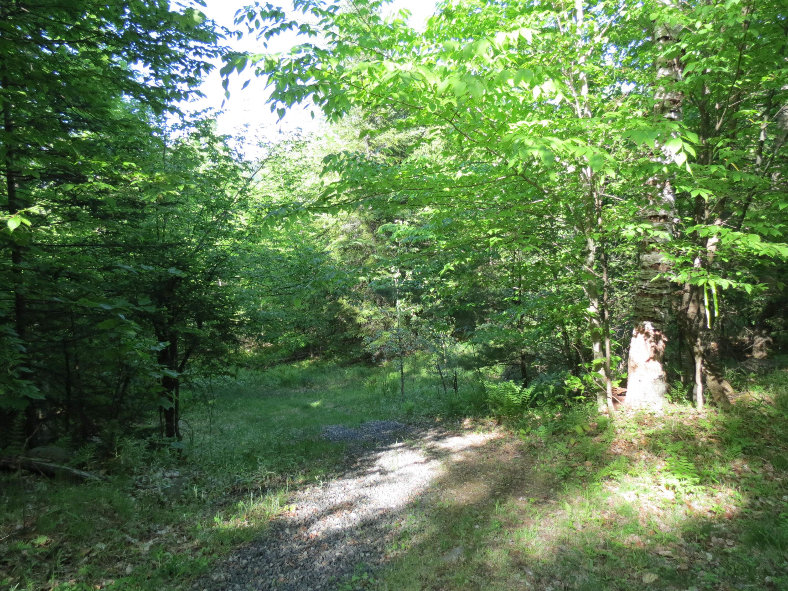 0 Trumbulls Road Upper Jay, NY 12987 - Photo 14 of 22