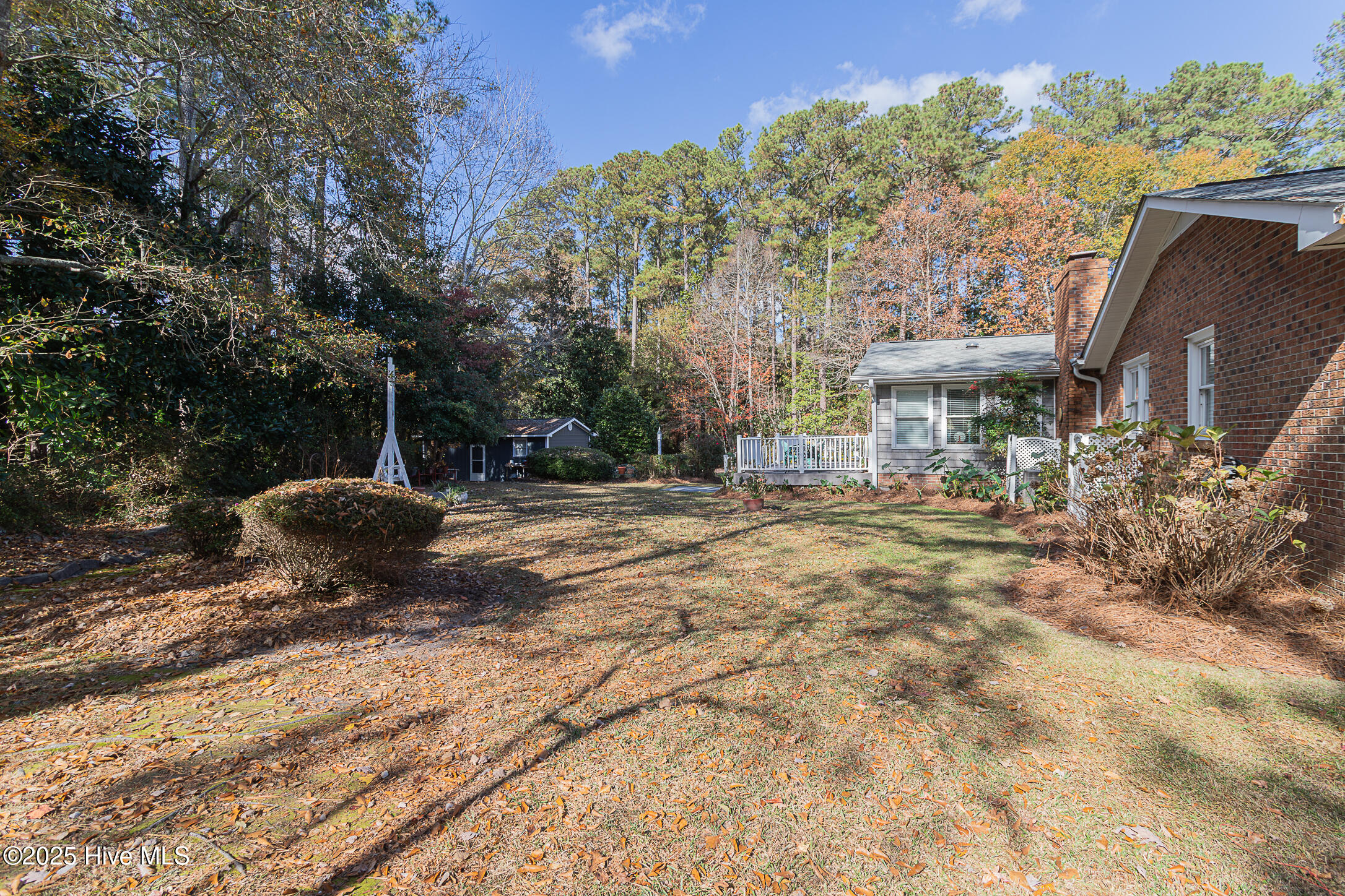 1296 Wolf Swamp Road Jacksonville, NC 28546 - Photo 50 of 89 49REAR