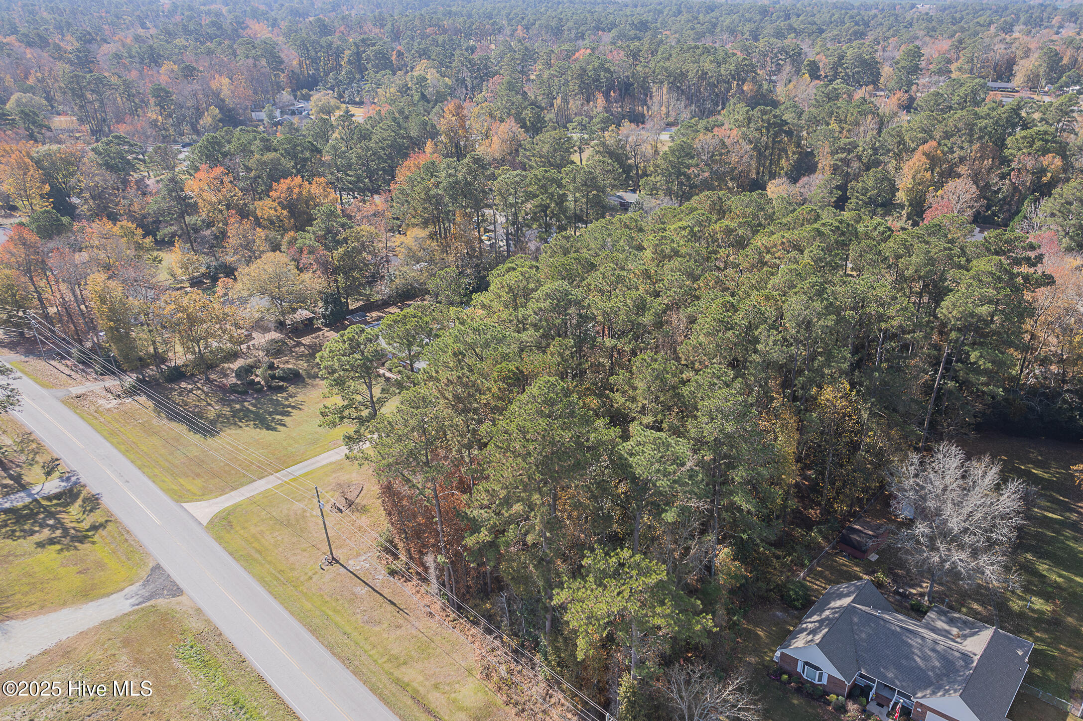 1296 Wolf Swamp Road Jacksonville, NC 28546 - Photo 78 of 89 77AIR
