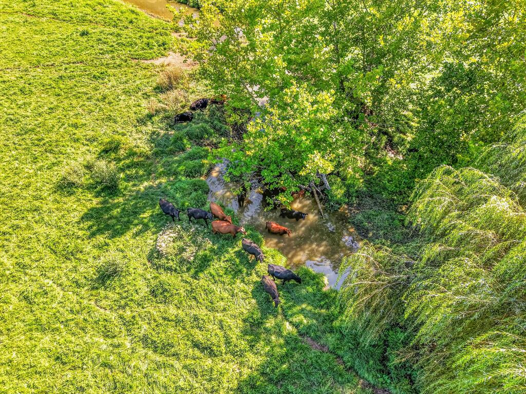 Tbd Peppers Ferry Road, Unit TRACT 4 Wytheville, VA 24382 - Photo 34 of 63 Gallery Image 34