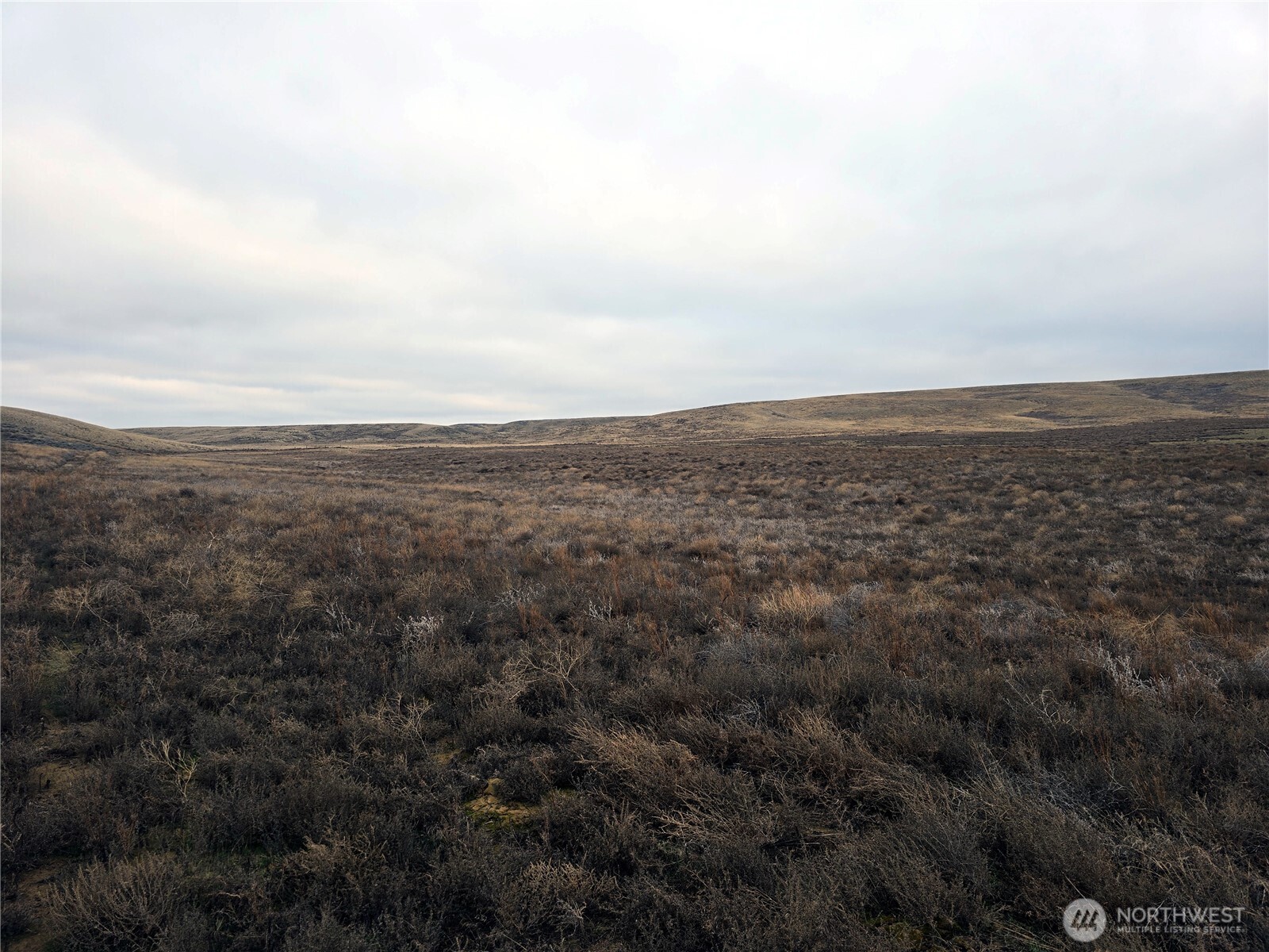 4200 Wadsworth Road Washtucna, WA 99371 - Photo 27 of 28
