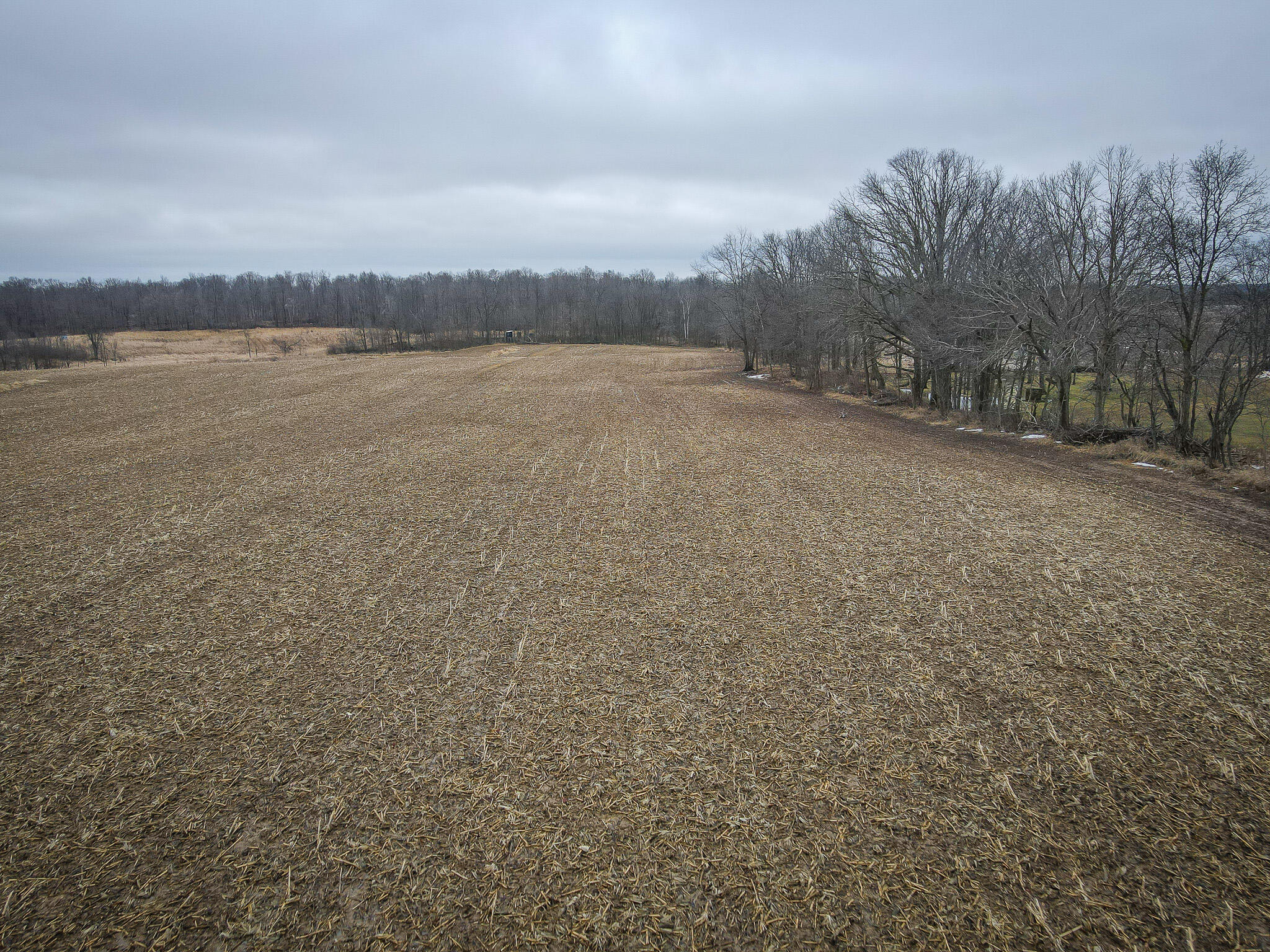 1601 West Territorial Road Camden, MI 49232 - Photo 11 of 34 DJI_0424