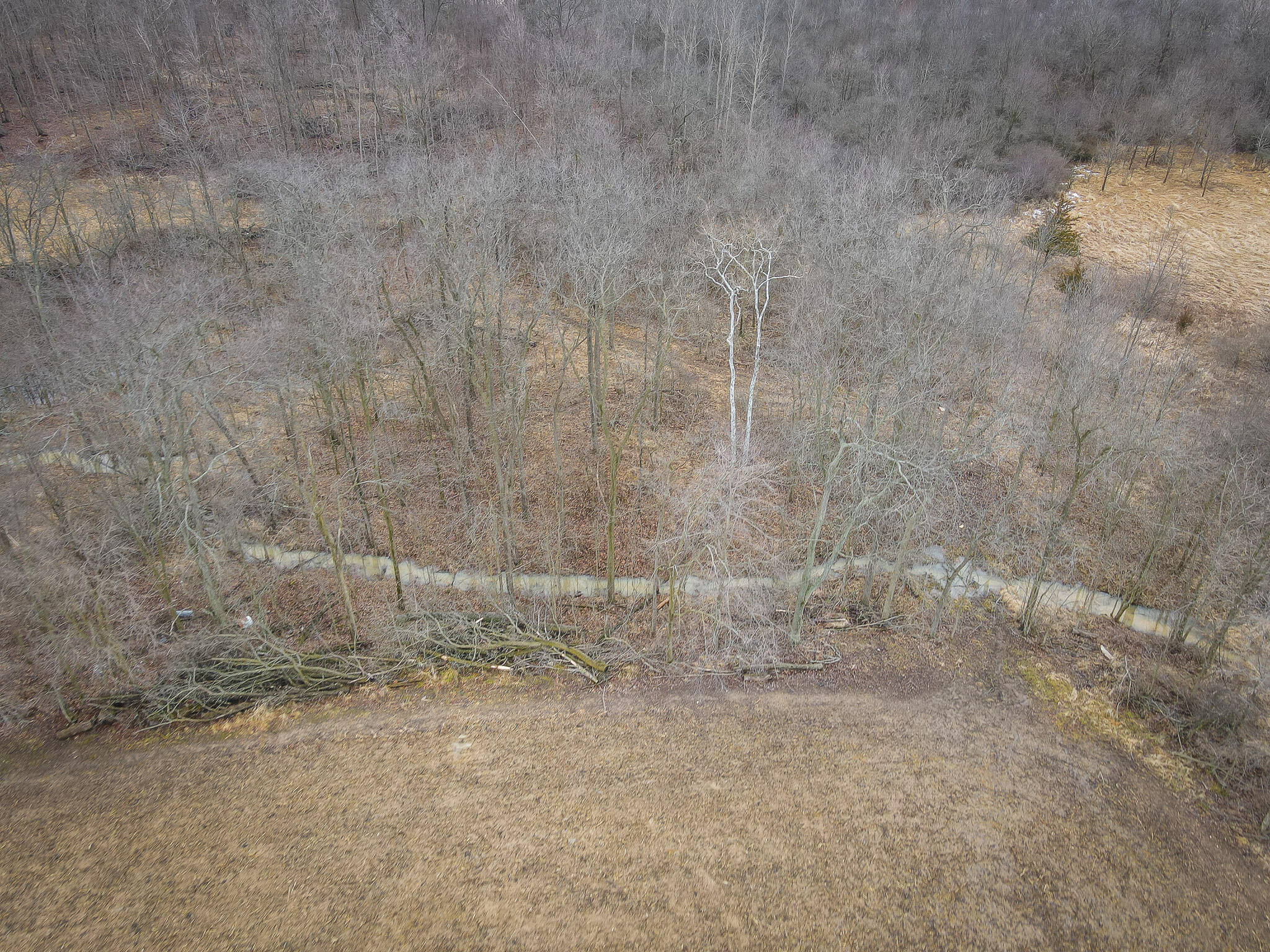 1601 West Territorial Road Camden, MI 49232 - Photo 12 of 34 DJI_0427