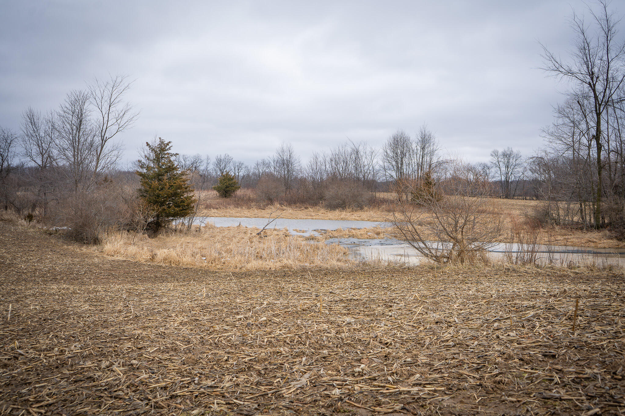 1601 West Territorial Road Camden, MI 49232 - Photo 17 of 34 DSC07649