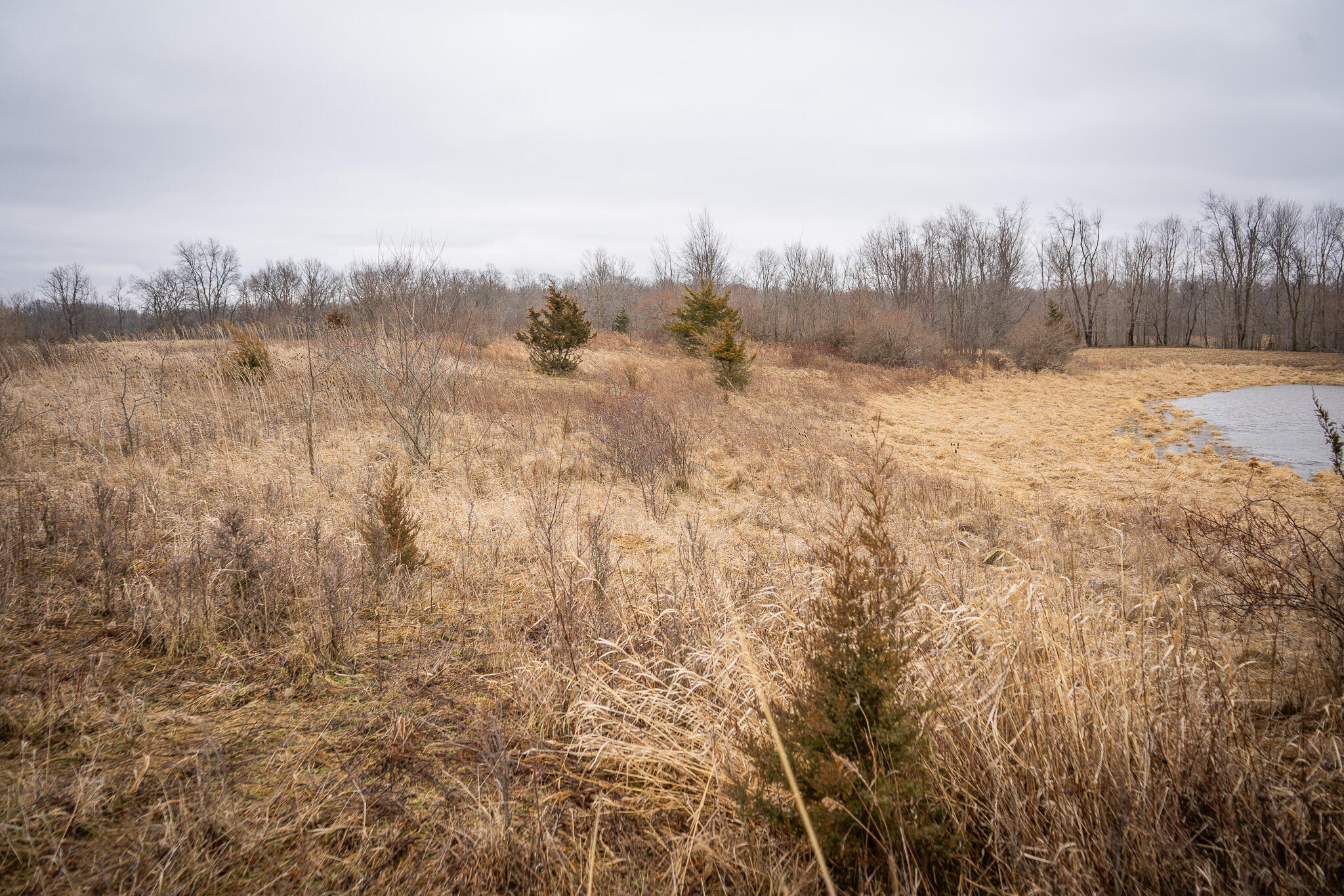 1601 West Territorial Road Camden, MI 49232 - Photo 18 of 34 DSC07654