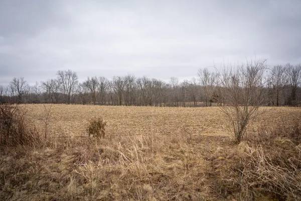 $600,000 | 1601 West Territorial Road, Camden, MI 49232
