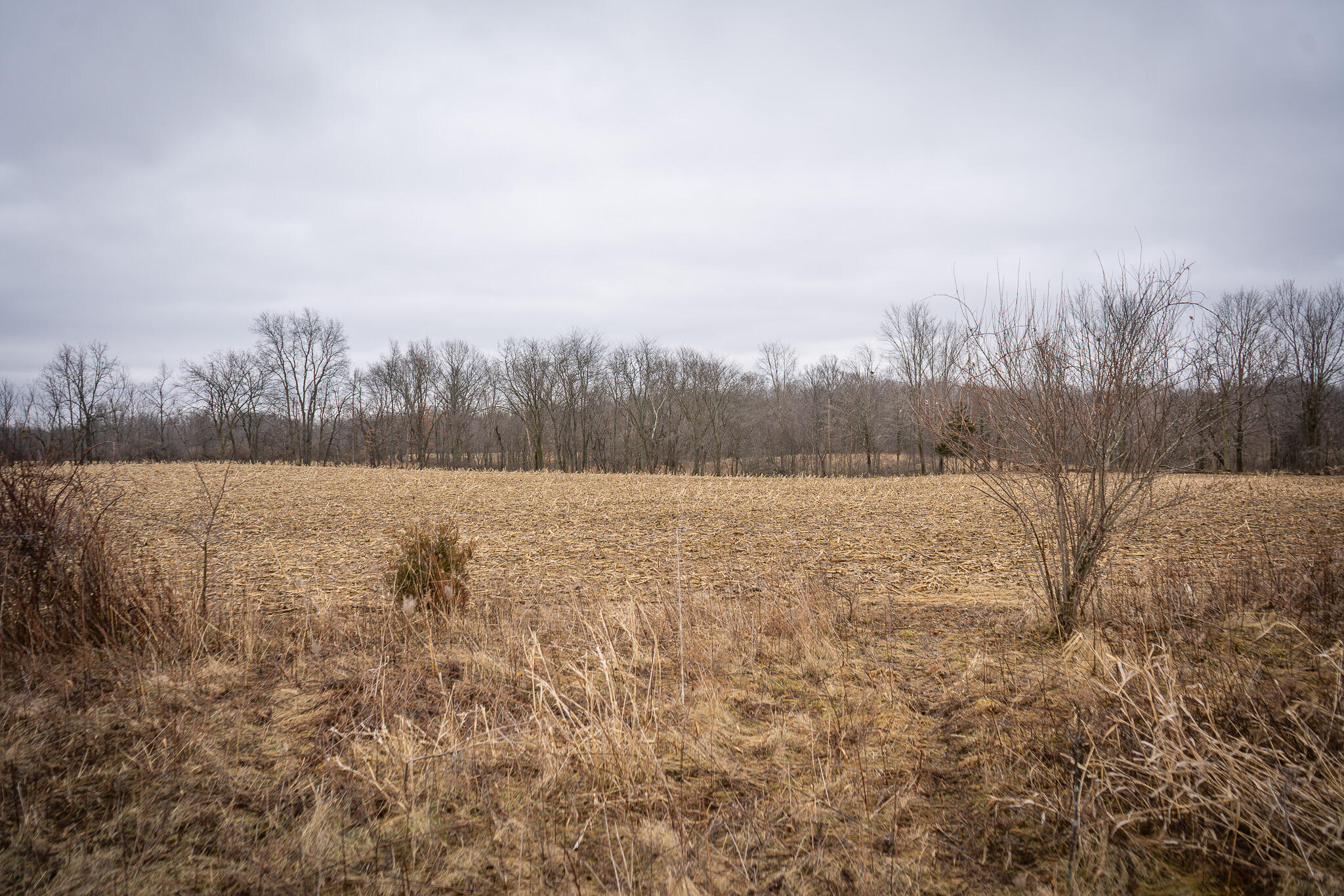 1601 West Territorial Road Camden, MI 49232 - Photo 19 of 34 DSC07659