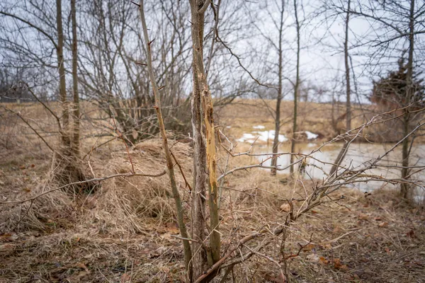 $600,000 | 1601 West Territorial Road, Camden, MI 49232