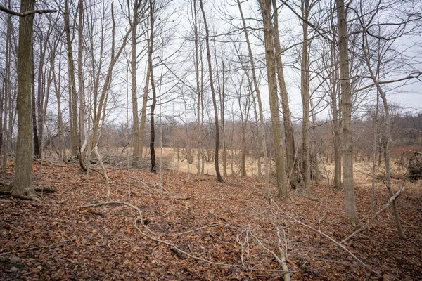 $600,000 | 1601 West Territorial Road, Camden, MI 49232