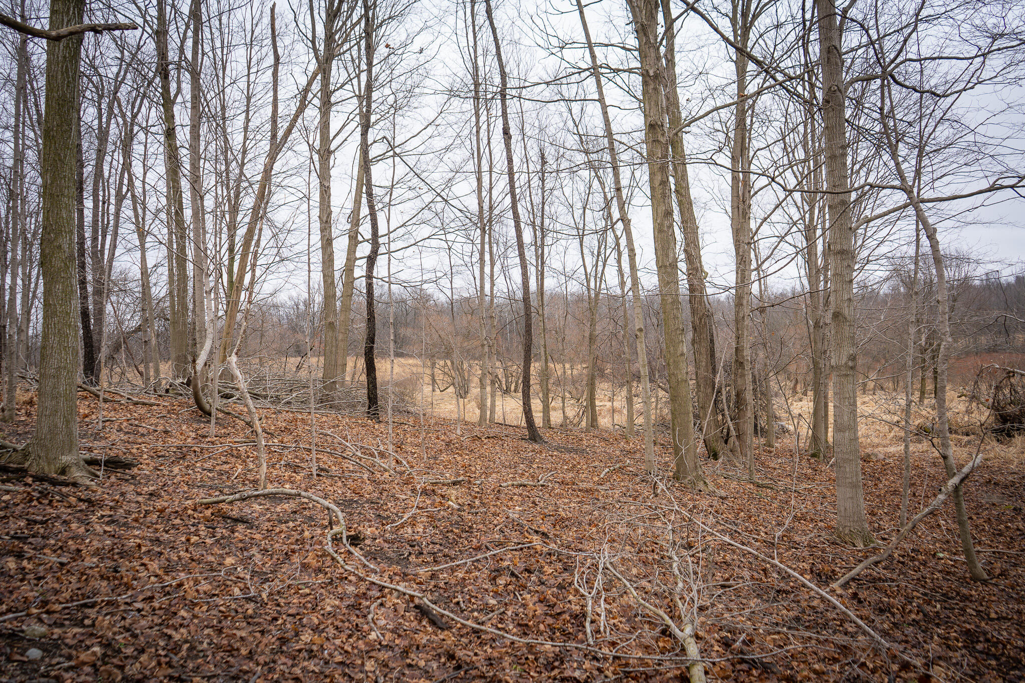 1601 West Territorial Road Camden, MI 49232 - Photo 22 of 34 DSC07668