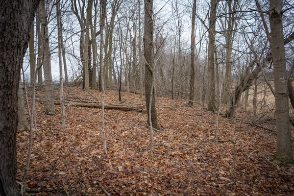 $600,000 | 1601 West Territorial Road, Camden, MI 49232