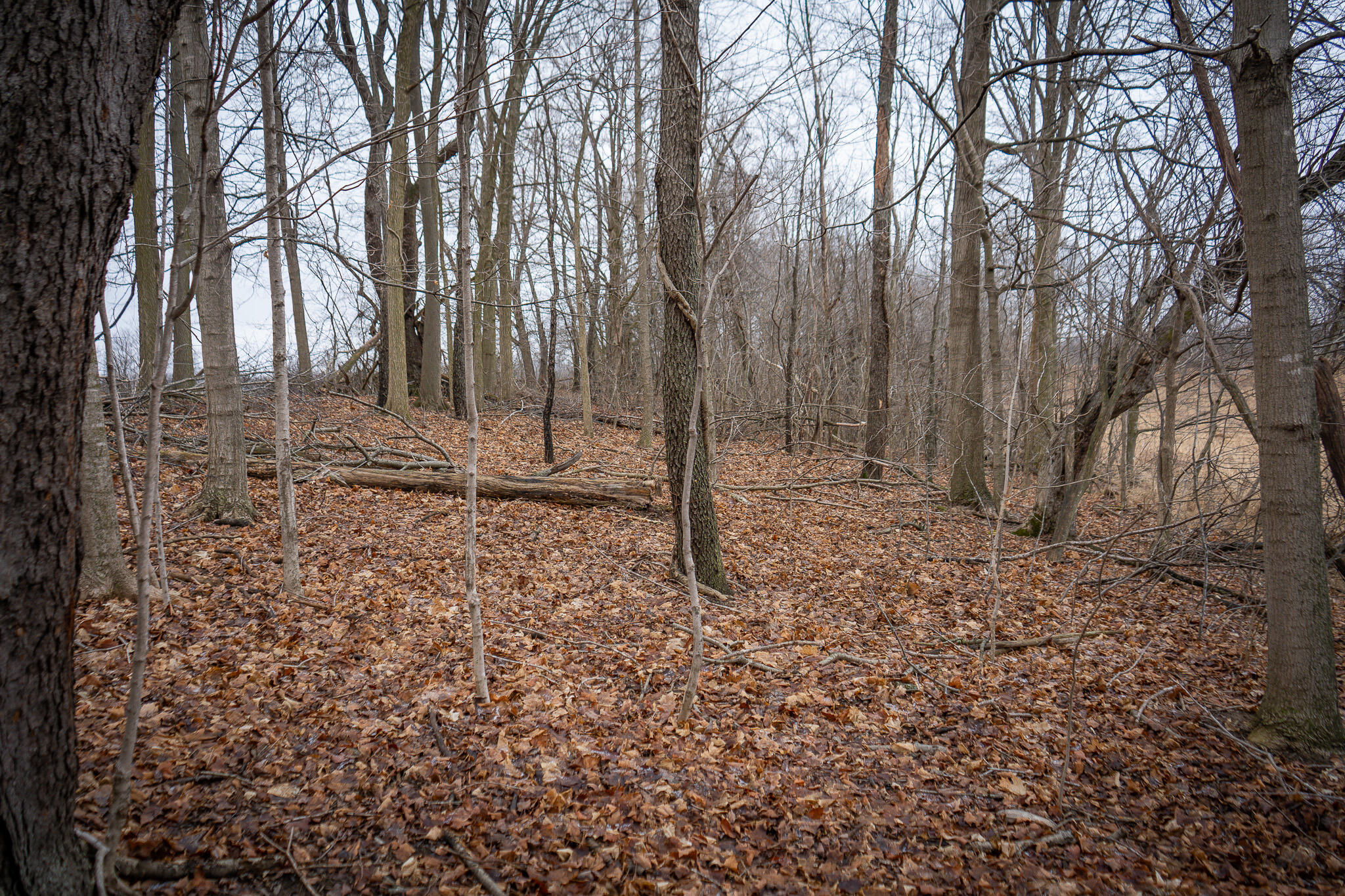 1601 West Territorial Road Camden, MI 49232 - Photo 23 of 34 DSC07669