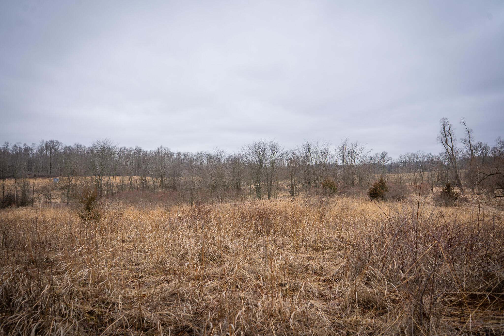 1601 West Territorial Road Camden, MI 49232 - Photo 24 of 34 DSC07678