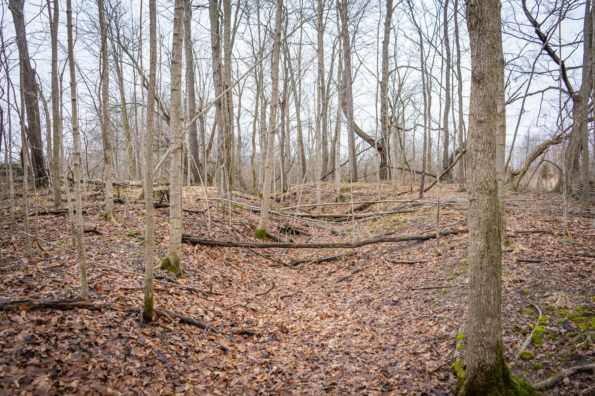 1601 West Territorial Road Camden, MI 49232 - Photo 25 of 34 DSC07682