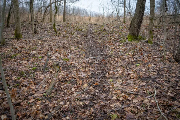 $600,000 | 1601 West Territorial Road, Camden, MI 49232