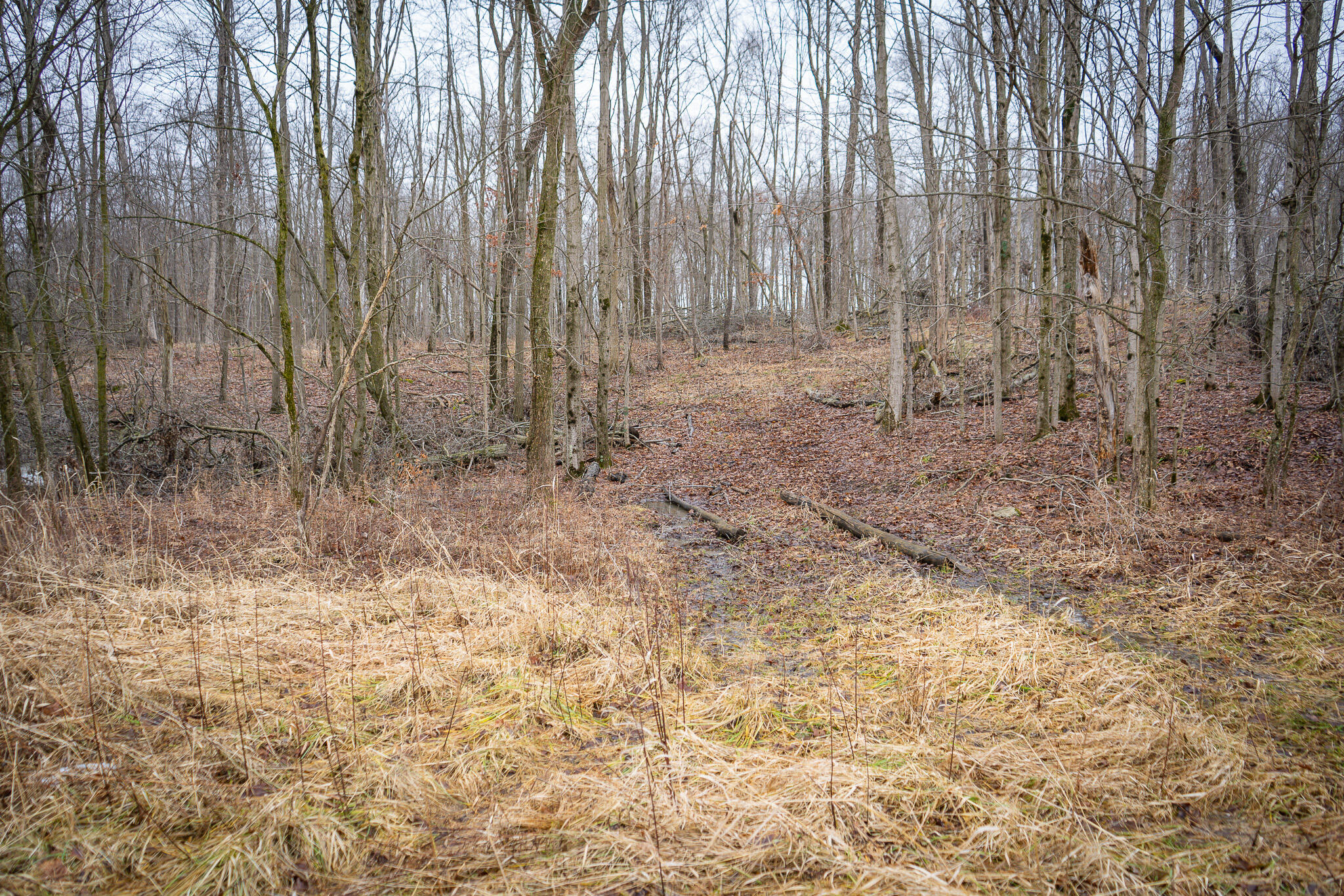 1601 West Territorial Road Camden, MI 49232 - Photo 27 of 34 DSC07691