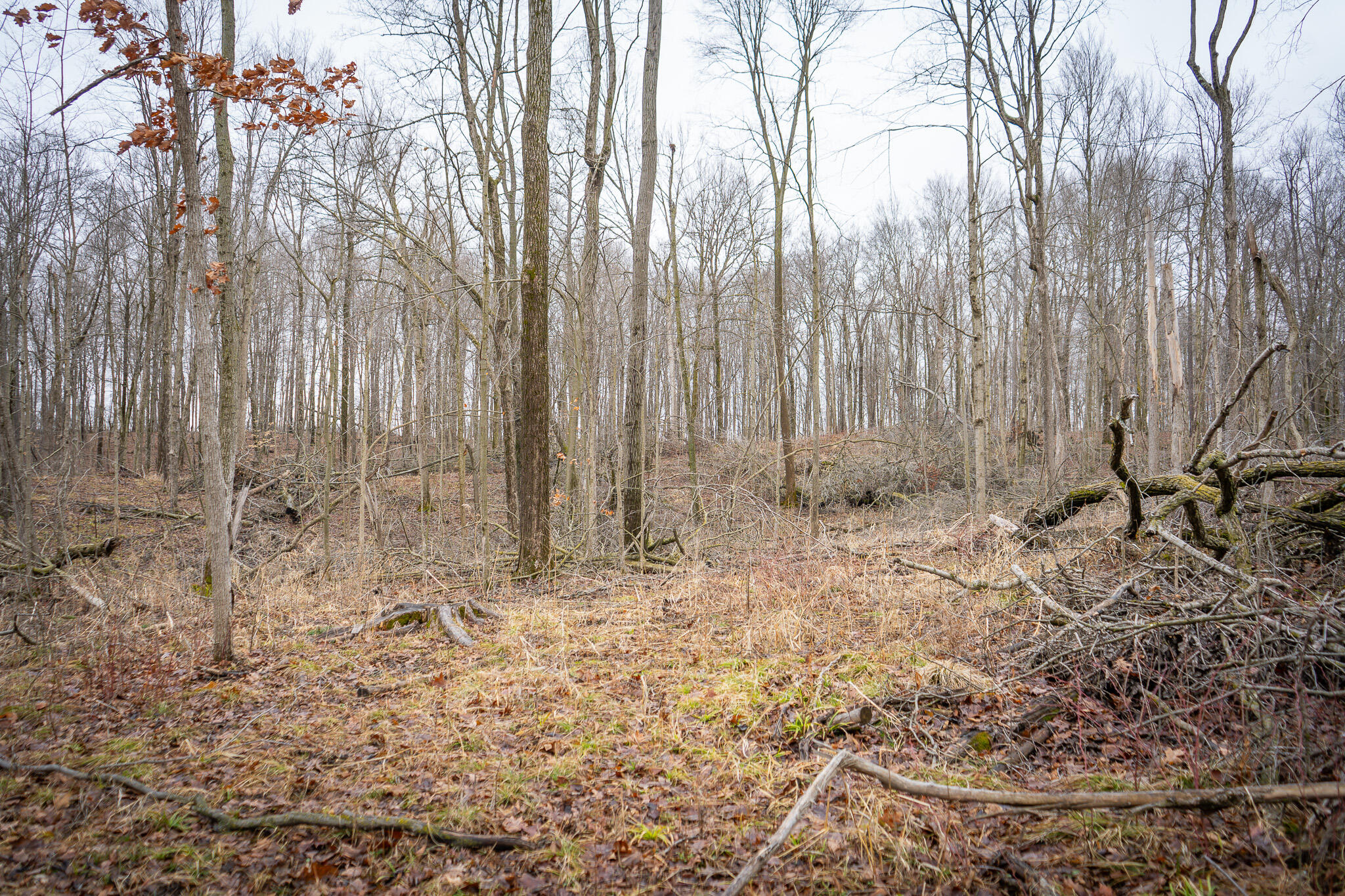 1601 West Territorial Road Camden, MI 49232 - Photo 28 of 34 DSC07695