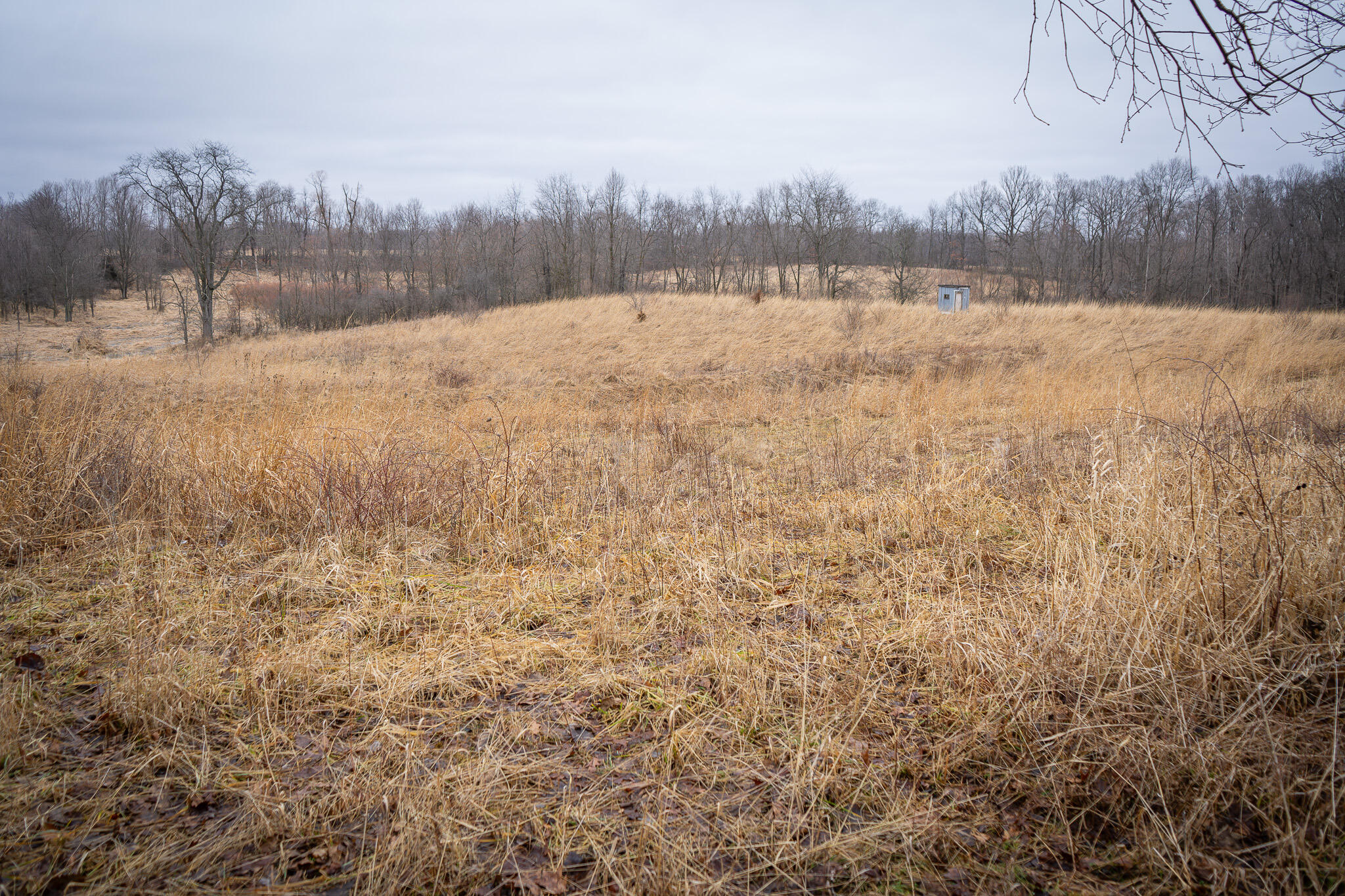 1601 West Territorial Road Camden, MI 49232 - Photo 30 of 34 DSC07705